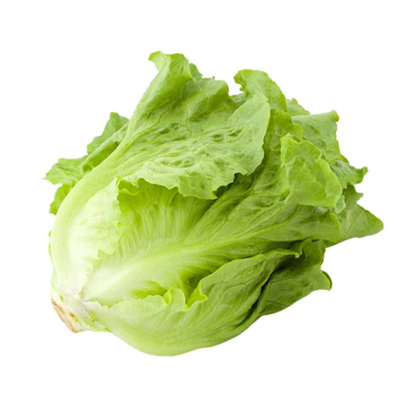 有机蔬菜